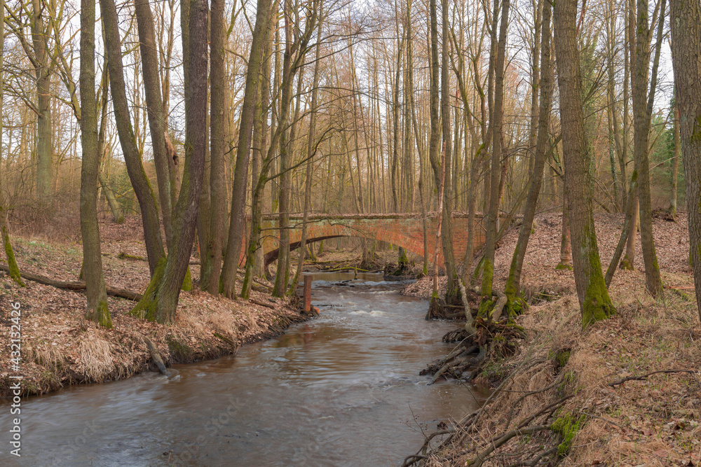 Obraz premium Czerwony, ceglany most nad rzeką płynącą przez las.