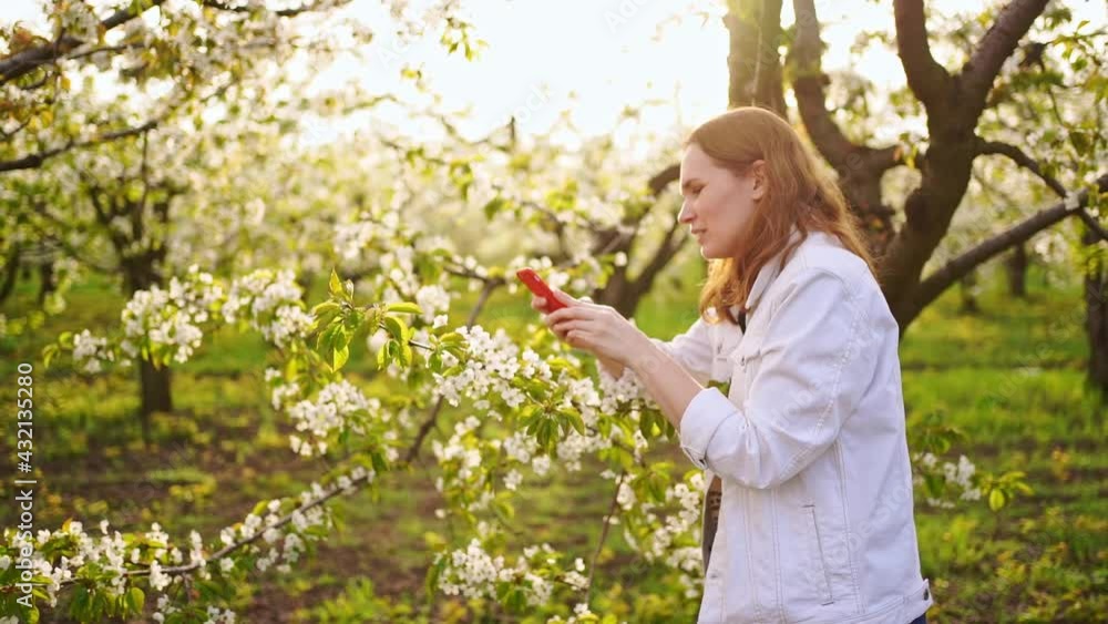 A woman in a white jacket shoots a video on her phone in a flowering garden. A woman in a white jacket shoots a video on her phone in a flowering garden.