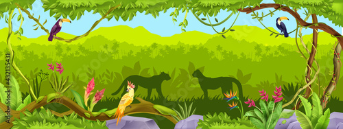 Jungle vector forest background, exotic nature wood thicket landscape, leopard, toucan, parrot, liana, rock. Amazon wildlife panoramic view, palm outline, animal silhouette. Paradise jungle background