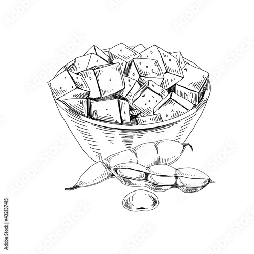 Bowl full of tofu cheese and soybean pods, retro hand drawn vector illustration.