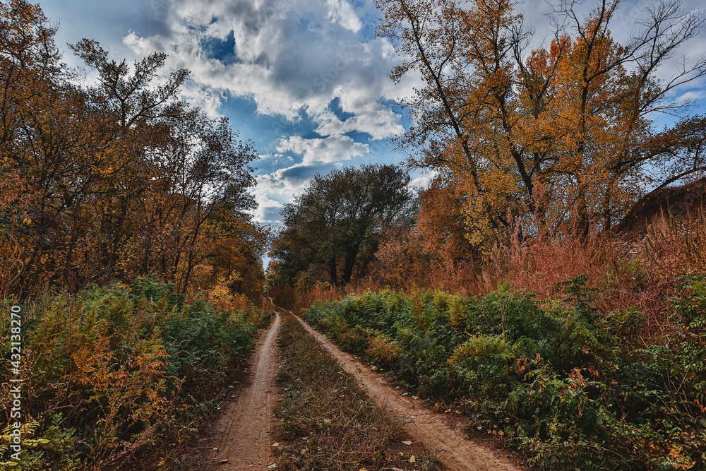 Beautiful autumn landscape. The road with the clouds