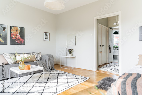 Living room a sunny day