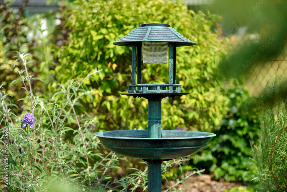 Bird drinking fountain with lamp in the park