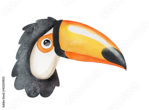 Cute watercolor tropical toucan bird hand drawn clipart. Amazon rainforest and Latin America wild habitat.