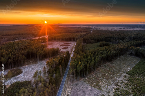 Obraz na płótnie Road w salonie