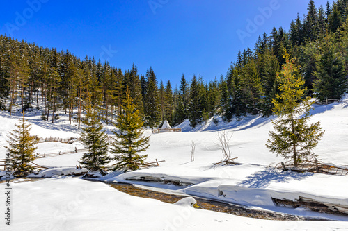 Wallpaper Mural Pastoral winter view in West Rhodope mountains Torontodigital.ca
