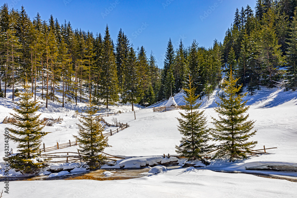 Pastoral winter view in West Rhodope mountains