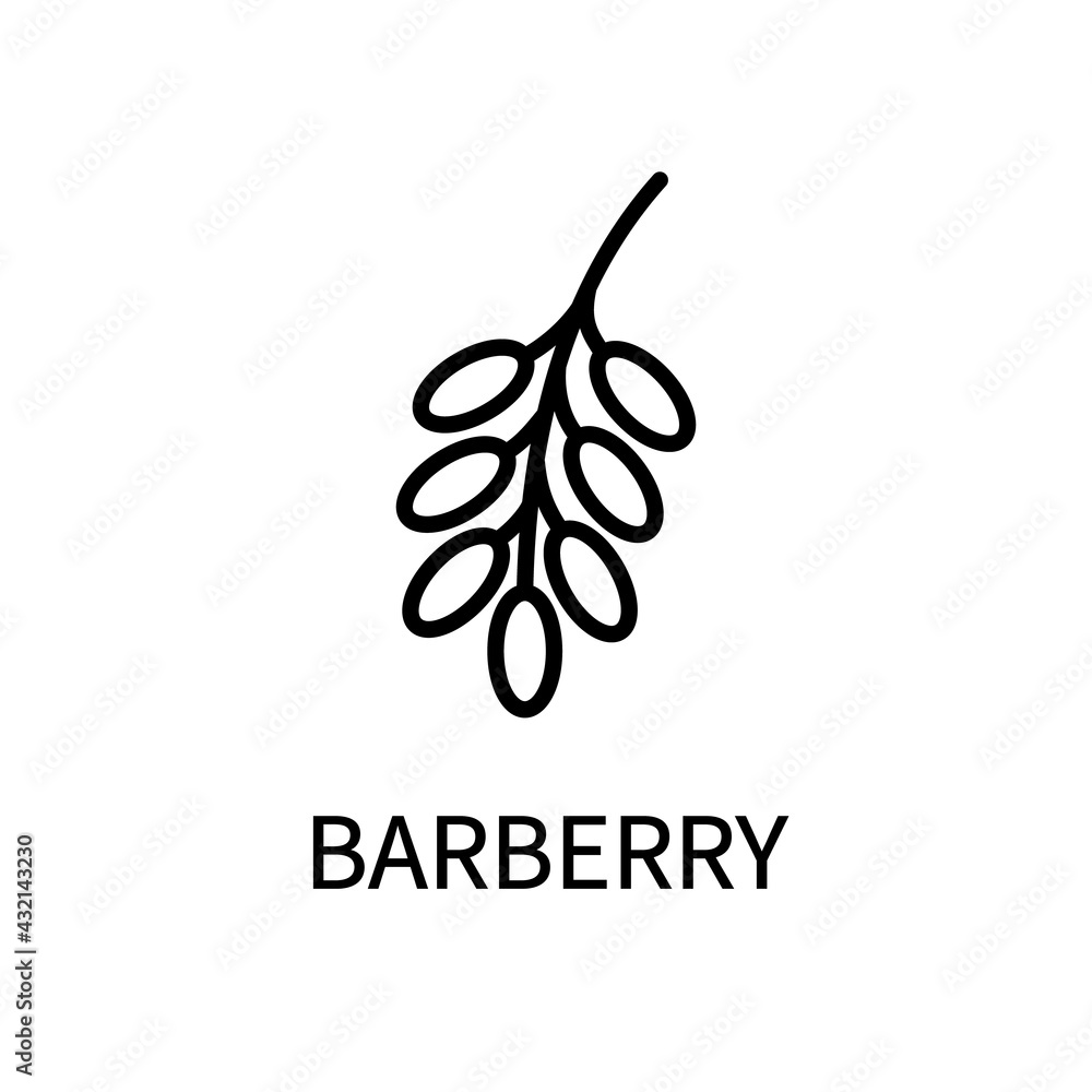 Barberry Line Icon In Simple Style. Healthy Food. Natural Product. Vector sign in a simple style isolated on a white background Barberry Line Icon In Simple Style. Healthy Food. Natural Product. Vector sign in a simple style isolated on a white background