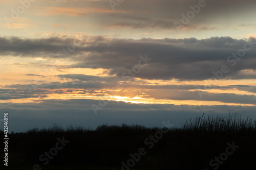 A yellow  blue sunset with thick clouds in the sky before a storm with a dark meadow and tree horizon on a spring evening. The sun is not visible