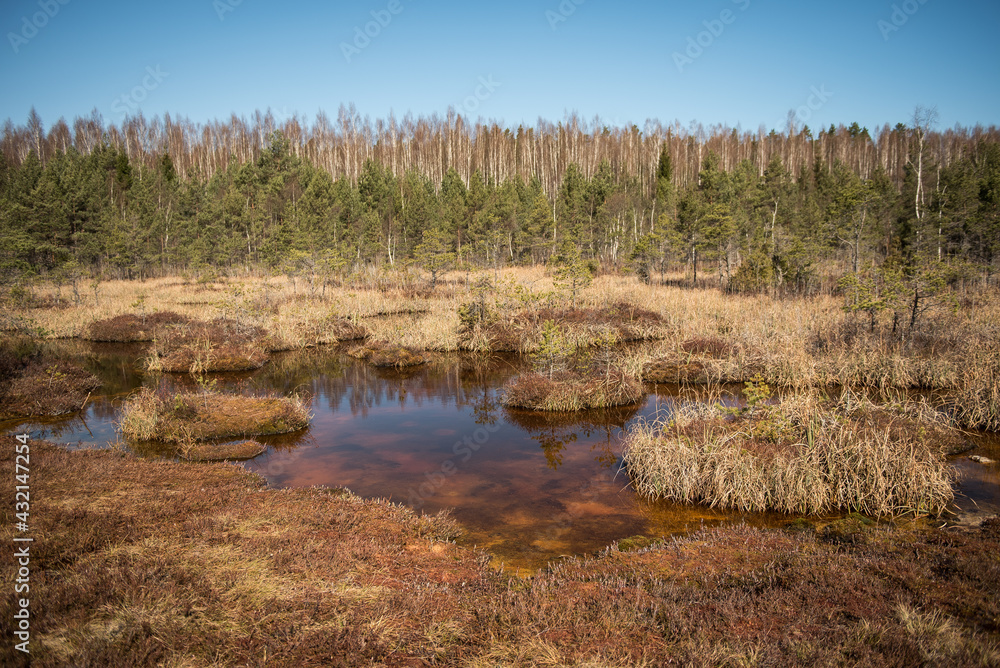 Sulfur ponds in swamp, Kemeri, Latvia. Sulfur ponds in swamp, Kemeri, Latvia.