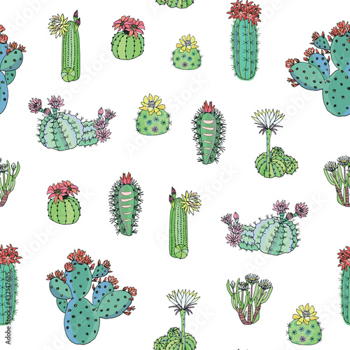 Cactus plants seamless vector hand drawn pattern