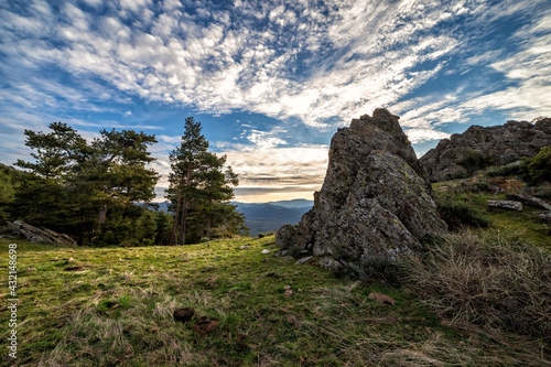 pinos y rocas de pizarra en la Sierra Norte. Madrid. España. Europa © ABUELO RAMIRO