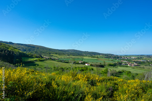 Paysage des Monts du Lyonnais au printemps vers le col de La Luere © michel