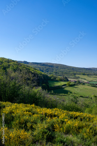 Paysage des Monts du Lyonnais au printemps vers le col de La Luere photo