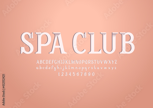 Beauty slab serif font, original modern alphabet, trendy uppercase and lowercase letters and numbers, vector illustration 10EPS