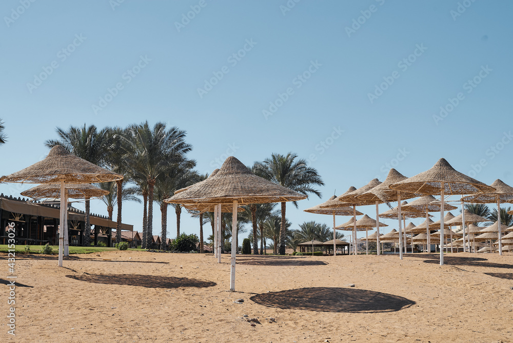 view of the beach in Egypt with palm trees, umbrellas, yellow sand and blue clear sky