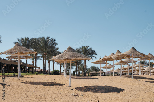 view of the beach in Egypt with palm trees  umbrellas  yellow sand and blue clear sky
