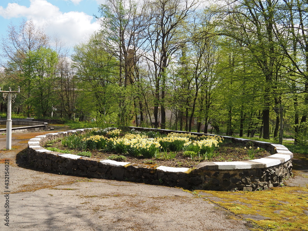 Obraz premium fountain in the park