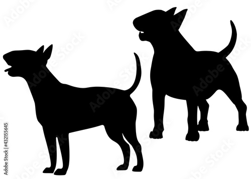 Canvas Print Bull terrier dog in the set. Vector image.