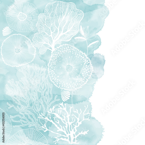 Vector illustration with hand-drawn sea plants and blue watercolor fragment on a white background. Marine background. Illustration with space for text, can be used creating card or invitation card.