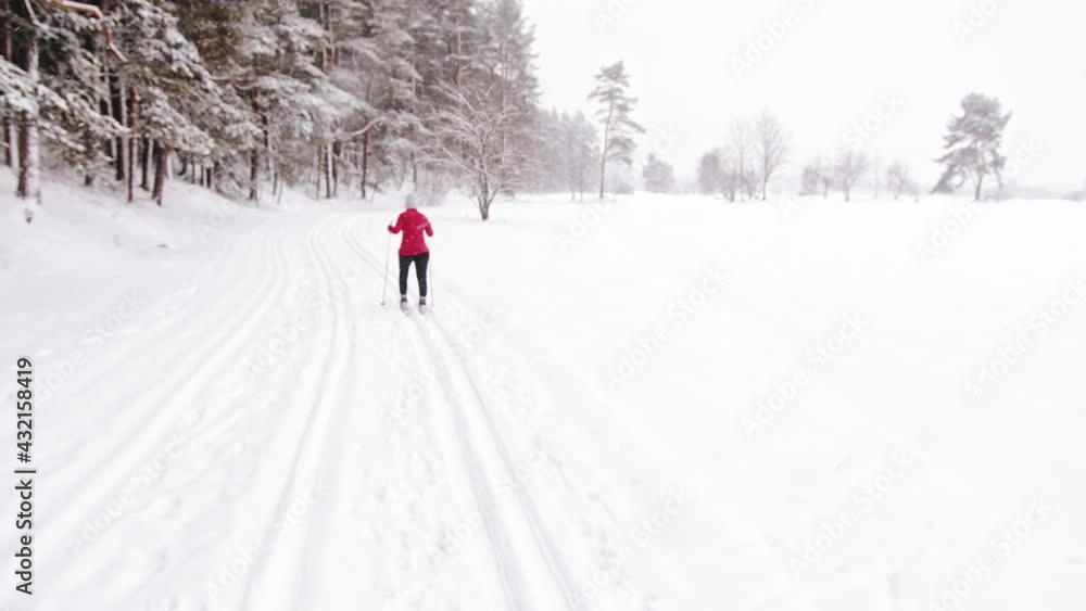 On a Snowy winter landscape, a female skier wearing red top skiing, carving the path. Back view. Trees covered with snow in the background. Snowfall. Concept of winter sports. On a Snowy winter landscape, a female skier wearing red top skiing, carving the path. Back view. Trees covered with snow in the background. Snowfall. Concept of winter sports.