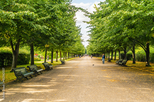 Fototapeta Naklejka Na Ścianę i Meble -  July 2020. London. The Avenue in Regents park in London, England, UK, Europe