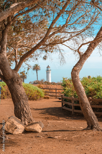Point Vicente Lighthouse photographed between two trees on the coast in Los Angeles