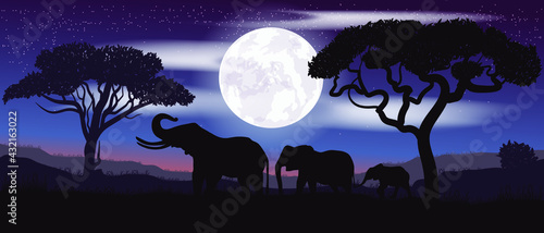 Colorful vector. Family of elephants. Safari.