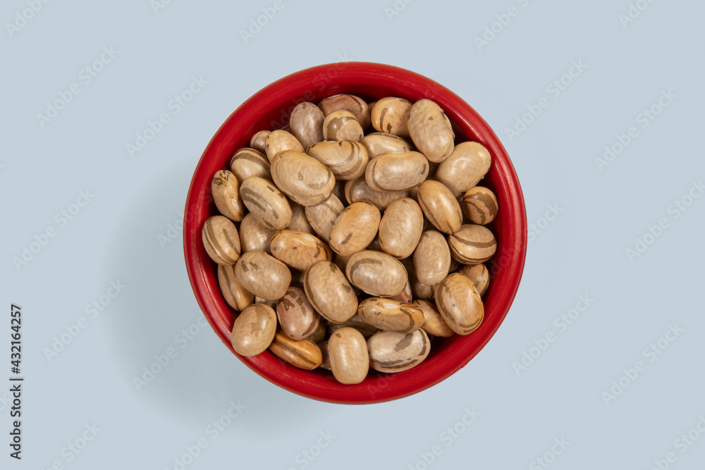 Dry pinto bean seed in red plastic bowl Dry pinto bean seed in red plastic bowl