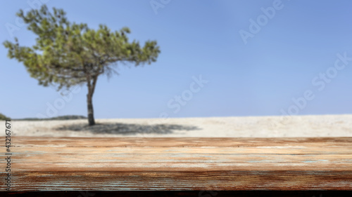 Desk of free space and summer tree background with sky 