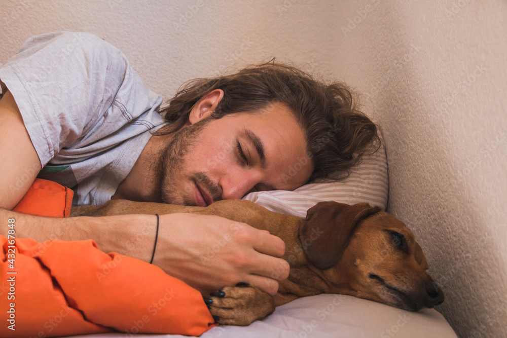 dog and young man in bed dog and young man in bed