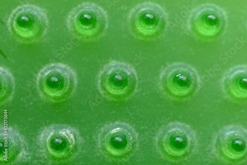 Green rubber surface with pimples and roundels