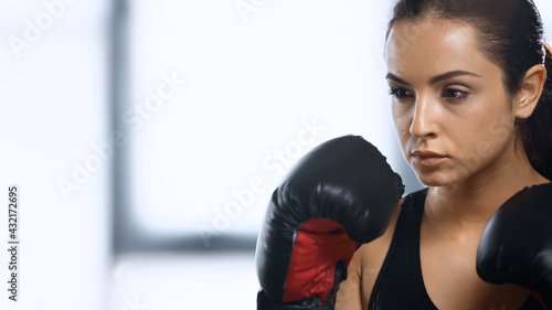 focused sports woman training in boxing gloves.