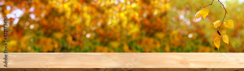 wooden table in the garden, beautiful blurred natural landscape in the background, long panorama, the concept of a cozy autumn mood, blank for the designer