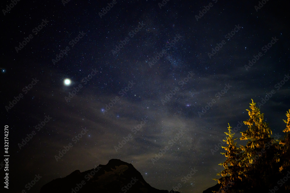 Fototapeta premium Evergreen fir tree with cones, peaks of French Alps mountains and starry sky at night on background