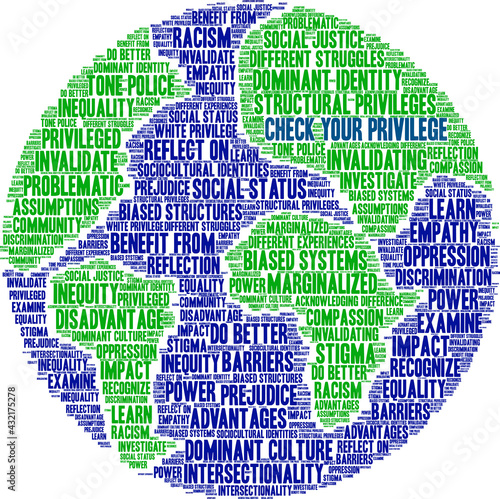 Check Your Privilege Word Cloud on a white background. 