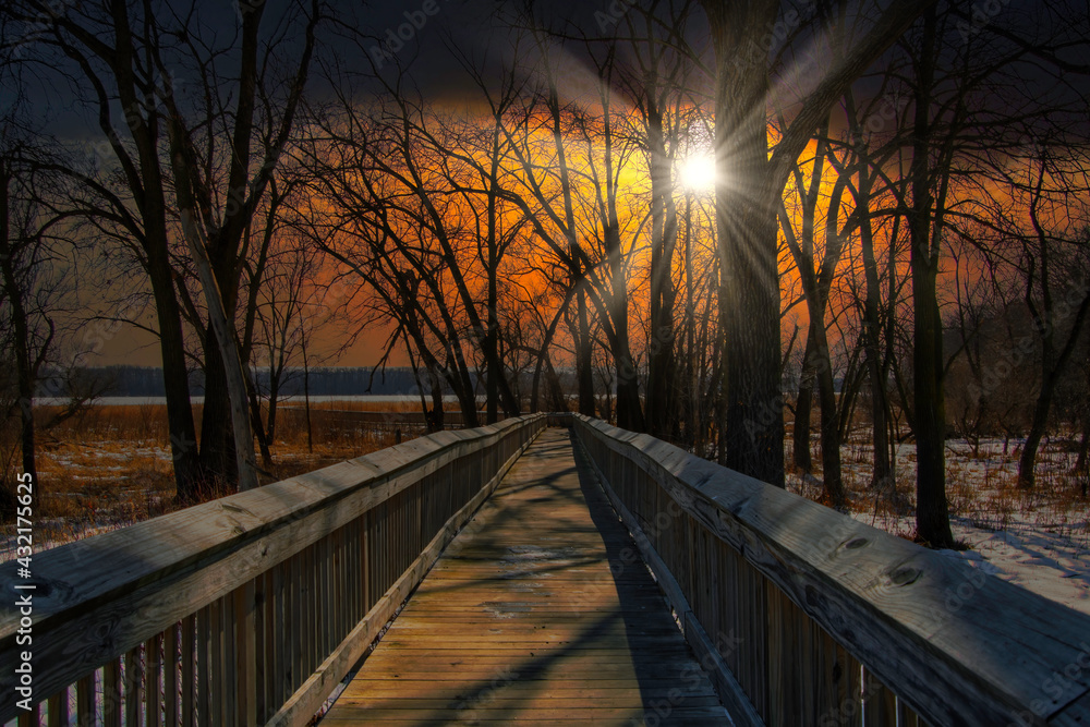 Wooden bridge in the forest at dusk