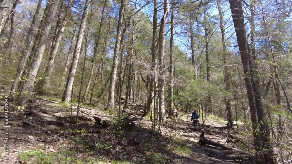 Hiking behind mother and daughter in woods. High quality 4k footage. Following hikers in the woods of Devils Hopyard State Park in Connecticut on a sunny spring day.
