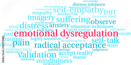 Emotional Dysregulation Word Cloud on a white background. 