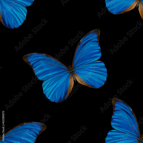 Seamless pattern of blue butterflies. Natural background of beautiful insects. © sandipruel