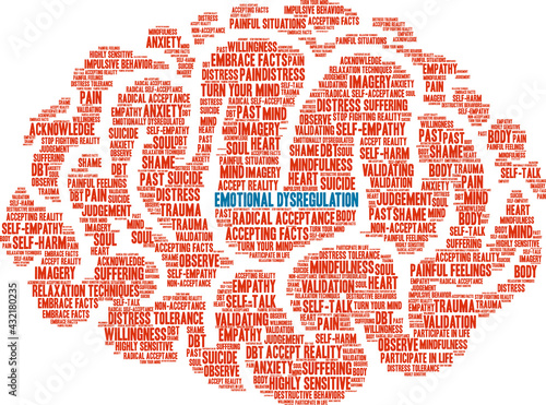 Emotional Dysregulation Word Cloud on a white background. 