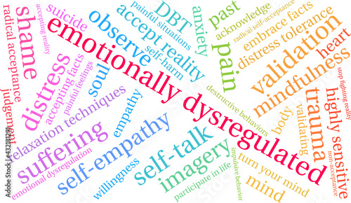 Emotionally Dysregulated Word Cloud on a white background. 