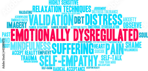 Emotionally Dysregulated Word Cloud