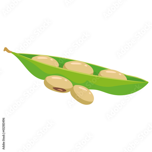 Beans soy ripe pod, healthy organic nutrition product. Vector cartoon flat trendy illustration hand drawn isolated