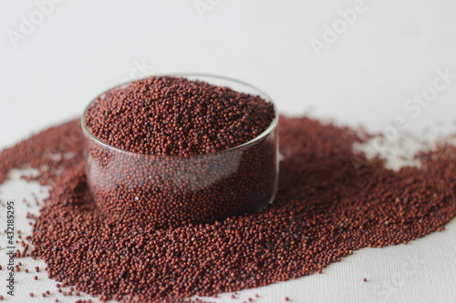 Eleusine coracana grain or finger millet, also known as ragi in India, kodo in Nepal. photo