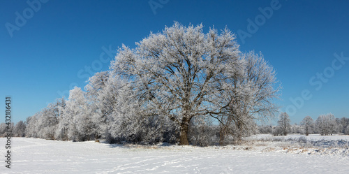 Sachsendorfer Wiesen, Winter, Cottbus, Brandenburg, Germany