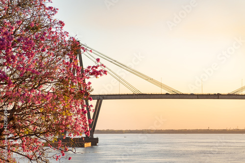 bridge over the river