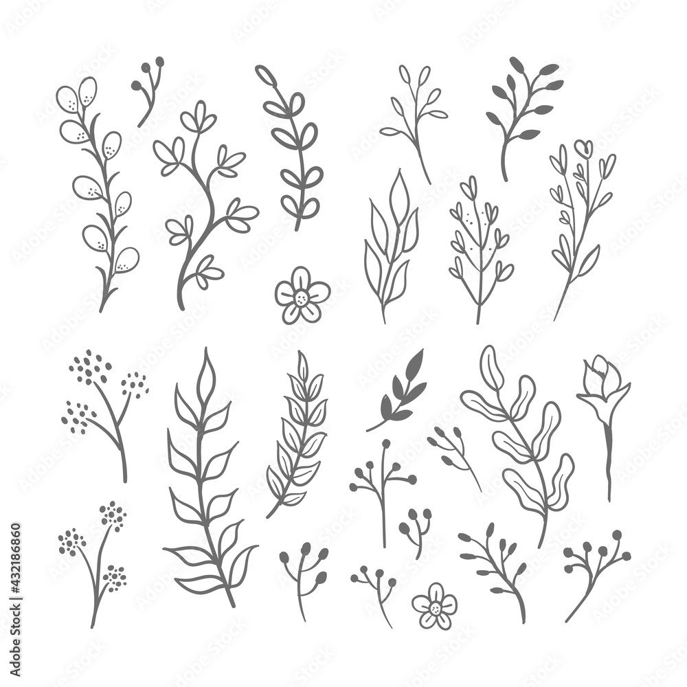 Fototapeta Hand drawn floral ornaments. Flowers and leaves doodle vector collection. Decorative plants illustrations. Nature decoration drawings handmade style.