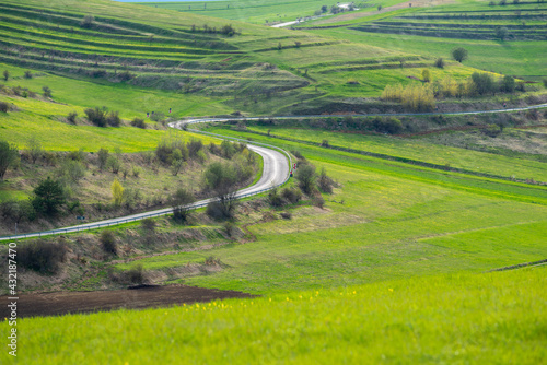 Curving asphalt road through green agricultural fields at springtime in Transylvania, Romania.