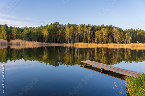 Wooden pier and spring forest on a calm lake in Ukraine. Nature and travel concept